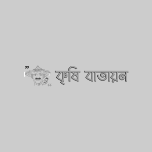 বারি মসুর-১