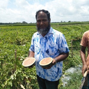 বারোমাসি-তরমুজ-চাষে-কৃষক-নাসিরের-সফলতা